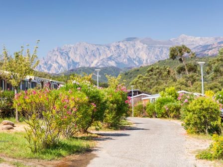 Camping Sole di Sari, Korsika 