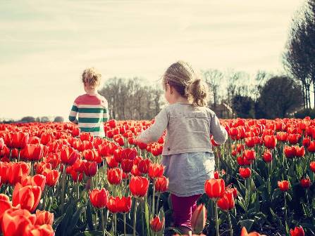 Mädchen laufen durch Tulpen in Holland